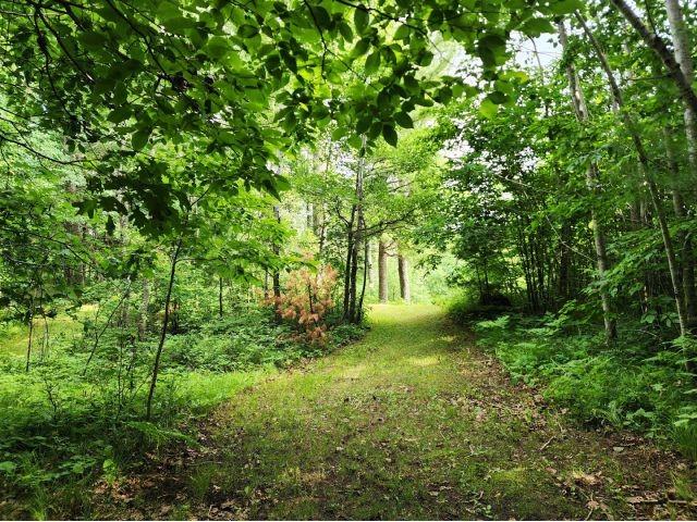 6565 Lynch Bridge Road Siren WI 54872 - Put Lake 1602882 image9