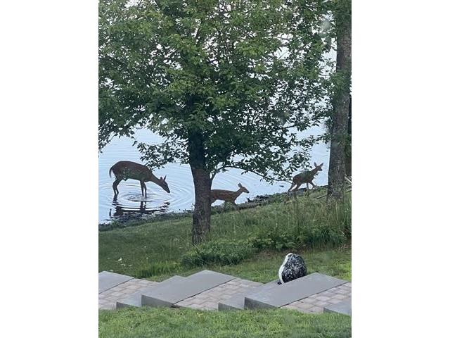 66895 Spider Lake Road Iron River WI 54847 - Spider Lake 1597488 image40