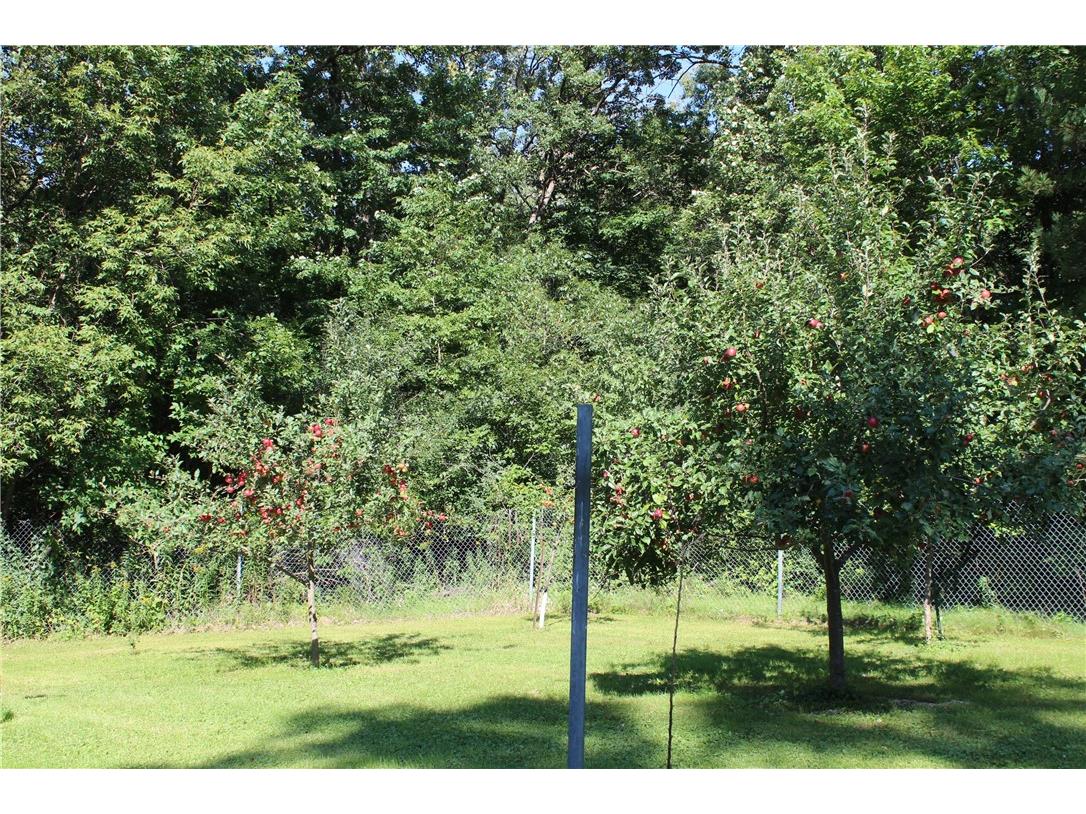 67 60th Avenue Clayton WI 54004 1595222 image8