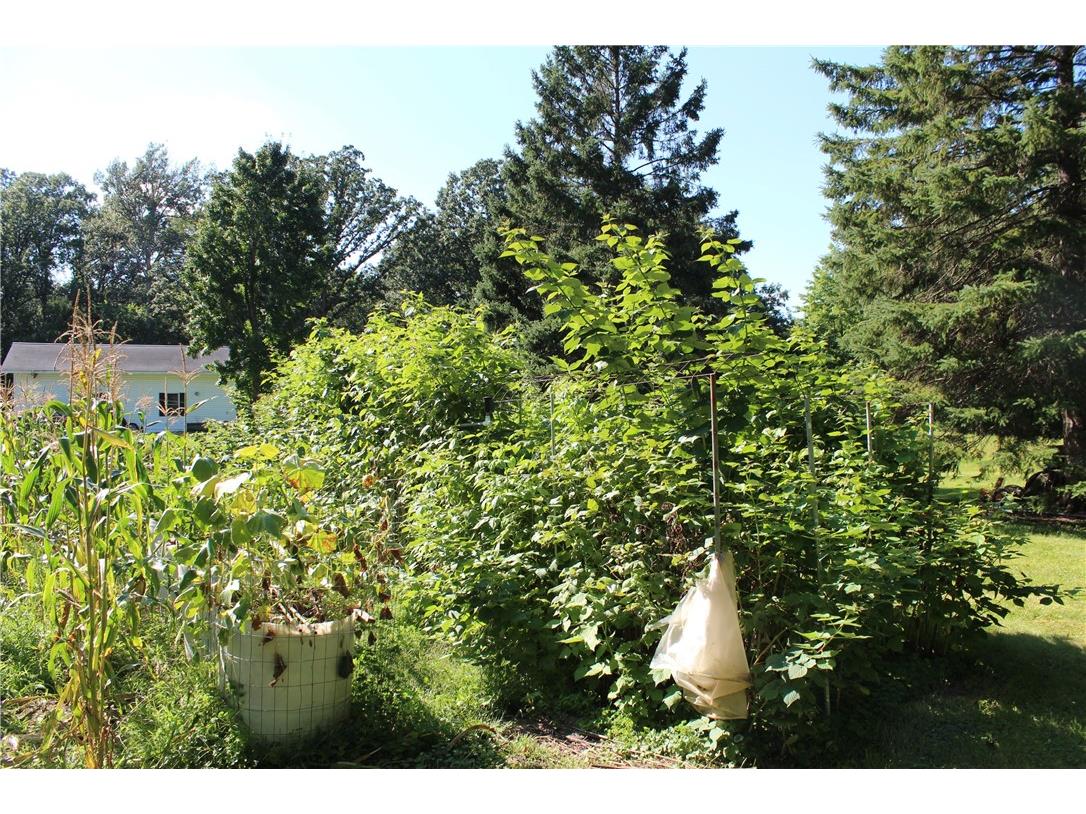 67 60th Avenue Clayton WI 54004 1595222 image9