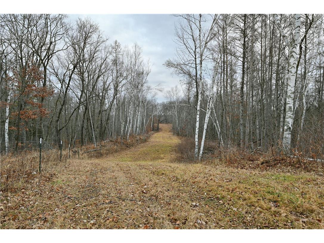 67 acres Mclean Road Bruce WI 54819 1589022 image1