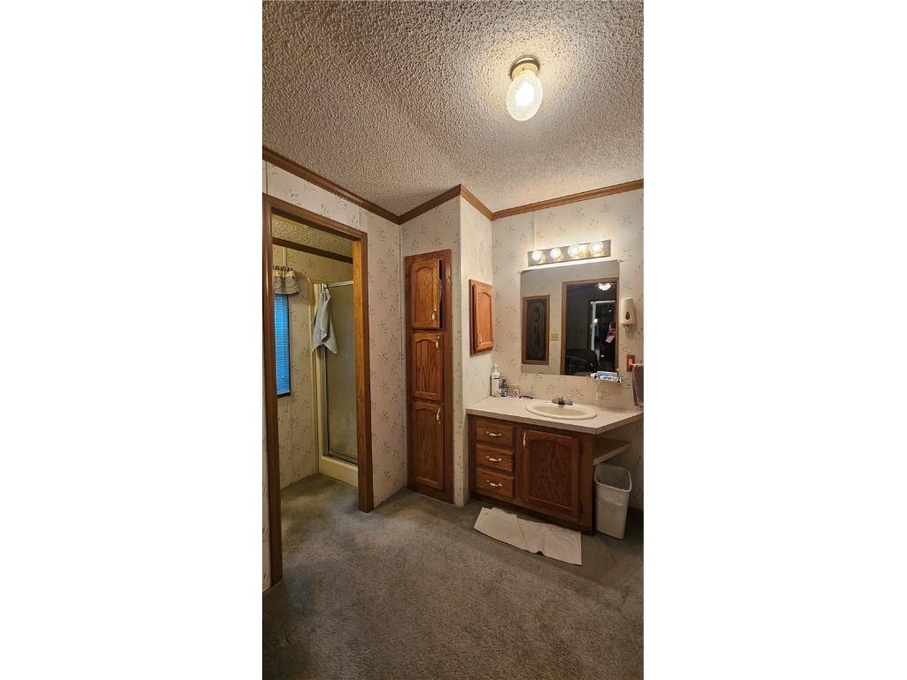 6753 S County Road P Lake Nebagamon WI 54849 1595760 image18