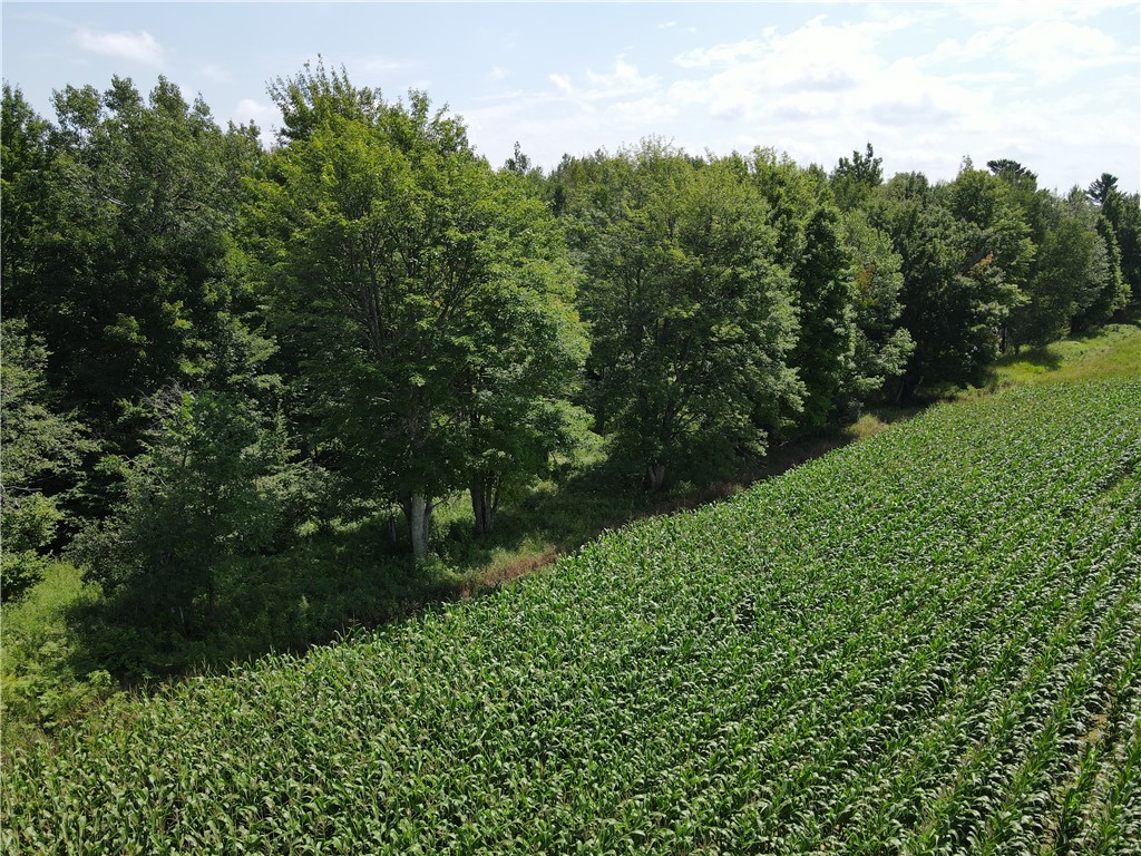 67TBD County Road M Ogema WI 54459 1594368 image12