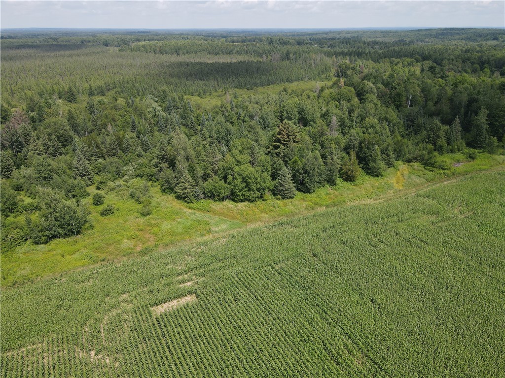 67TBD County Road M Ogema WI 54459 1594368 image6