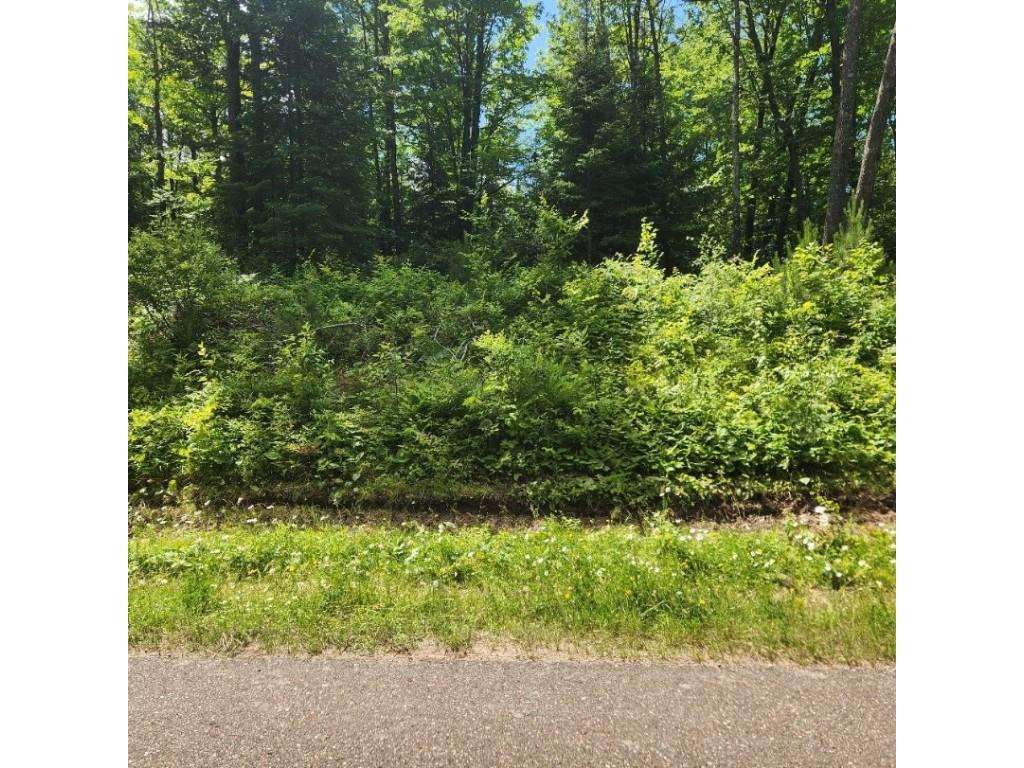 6820N Clover Road S Winter WI 54896 1583416 image1