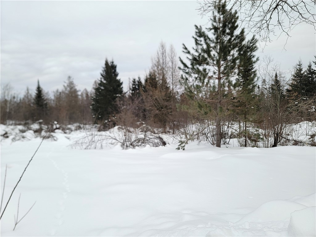 6828N Zett Road Winter WI 54896 1598316 image3