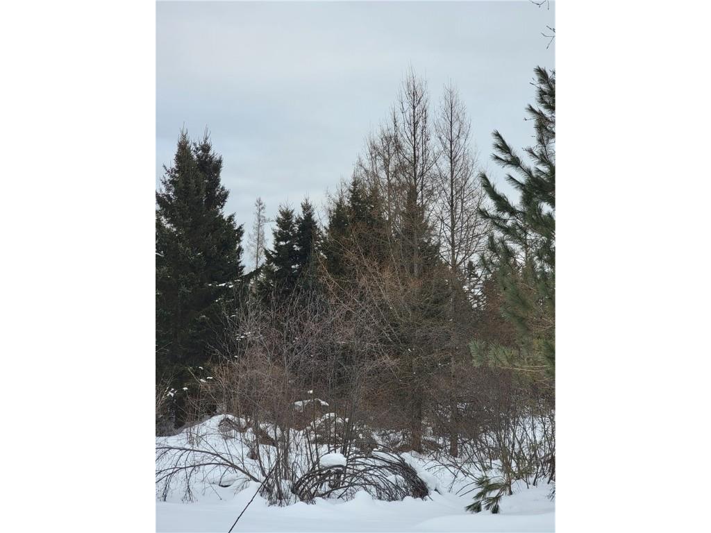 6828N Zett Road Winter WI 54896 1598316 image6