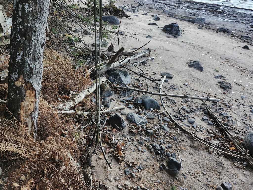 6856W Wolf Island Road Hayward WI 54843 - Moose Lake 1597181 image21