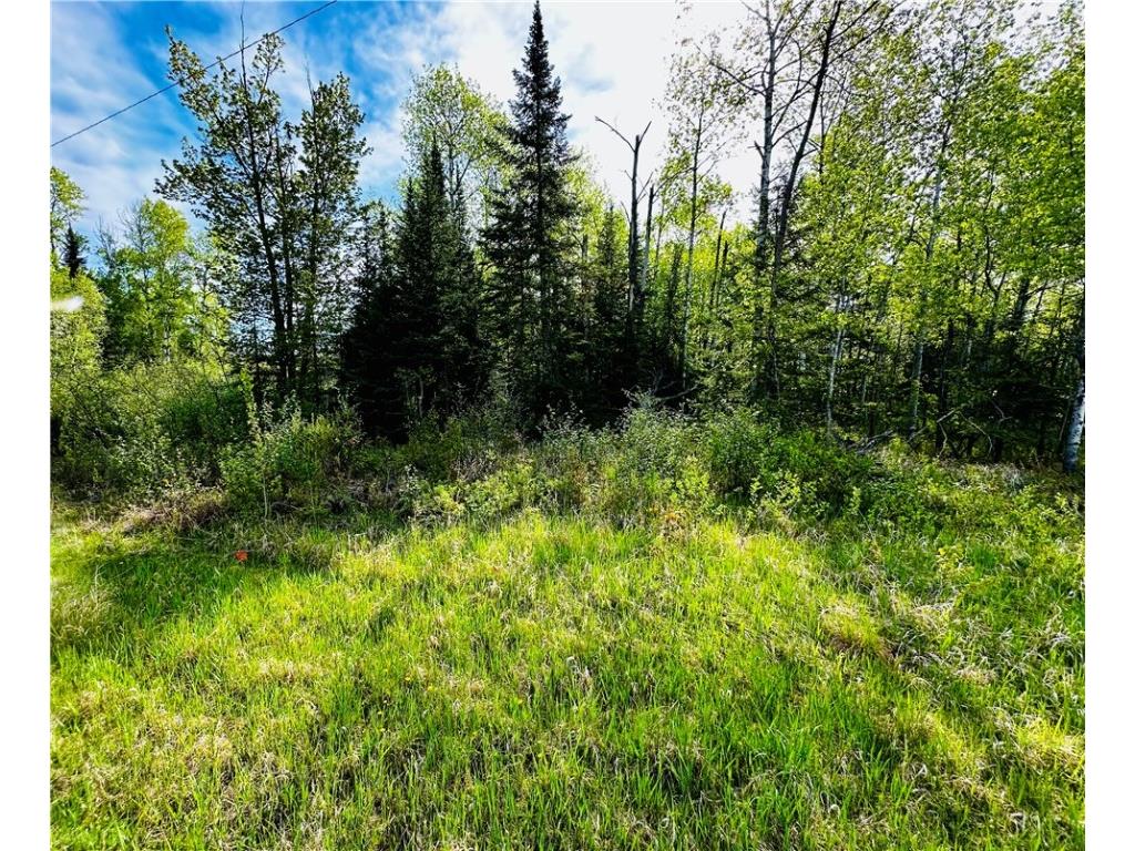 6874 N County Road B Winter WI 54896 1582129 image2