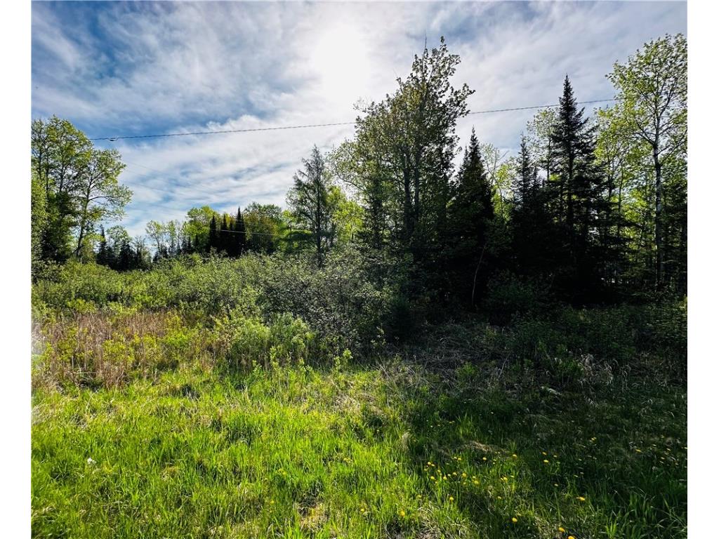 6874 N County Road B Winter WI 54896 1582129 image3