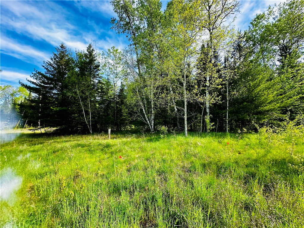 6874 N County Road B Winter WI 54896 1582129 image8