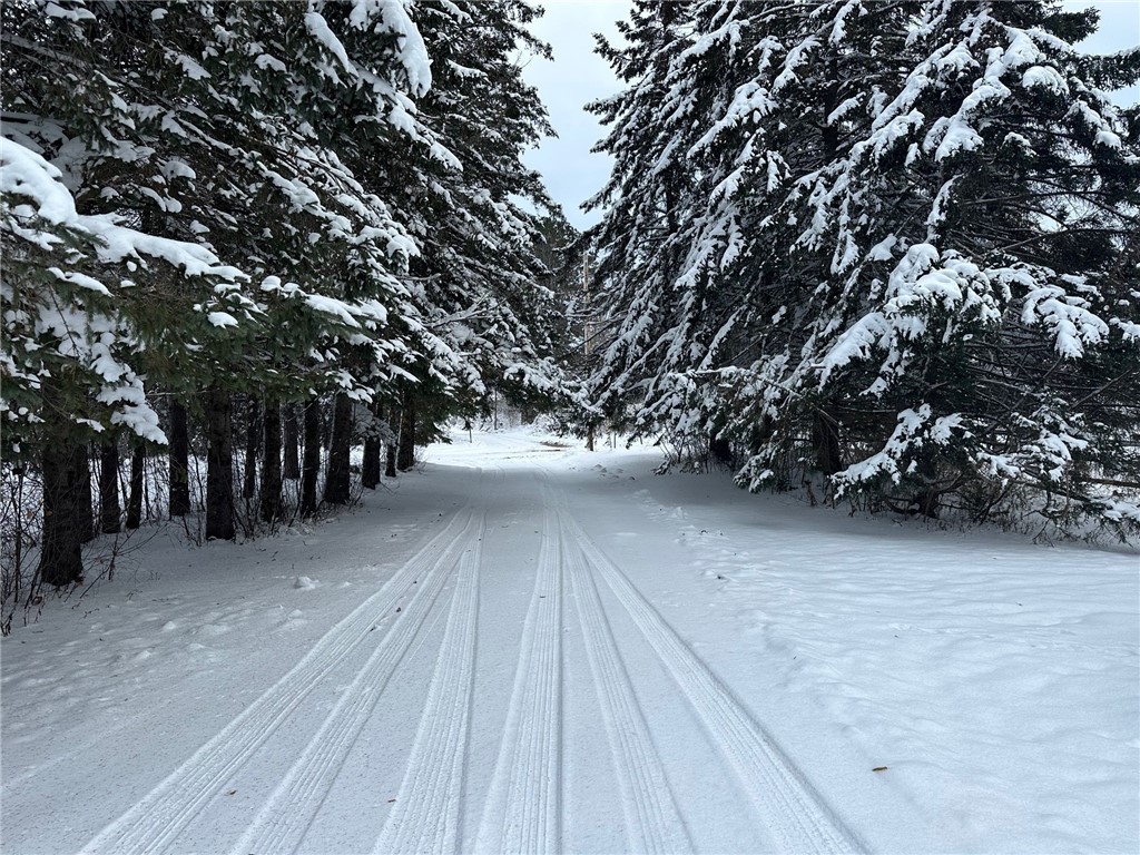 6901 N Zett Road Loretta WI 54896 1597354 image5