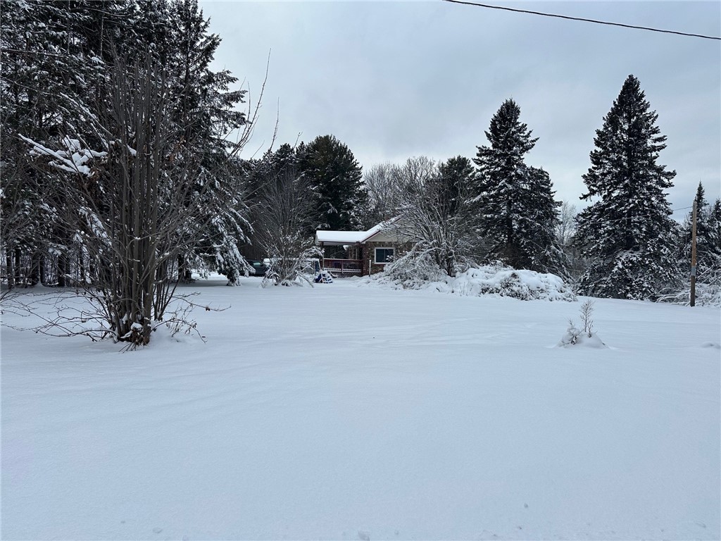 6901 N Zett Road Loretta WI 54896 1597354 image6