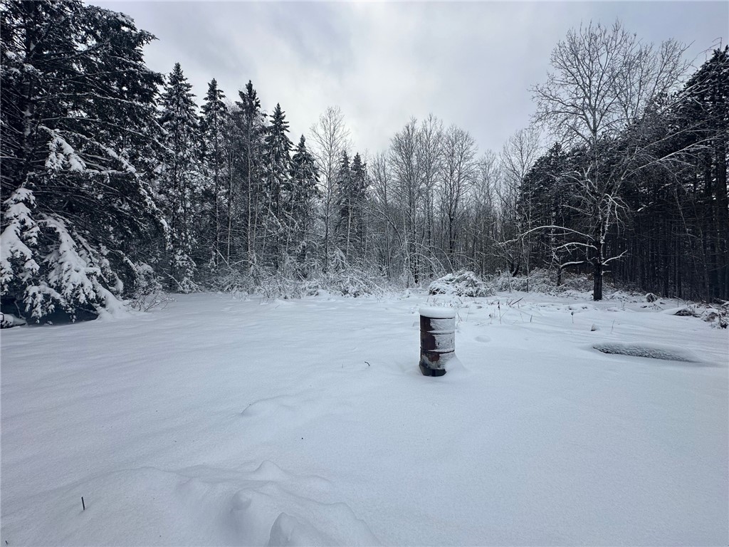 6901 N Zett Road Loretta WI 54896 1597354 image9