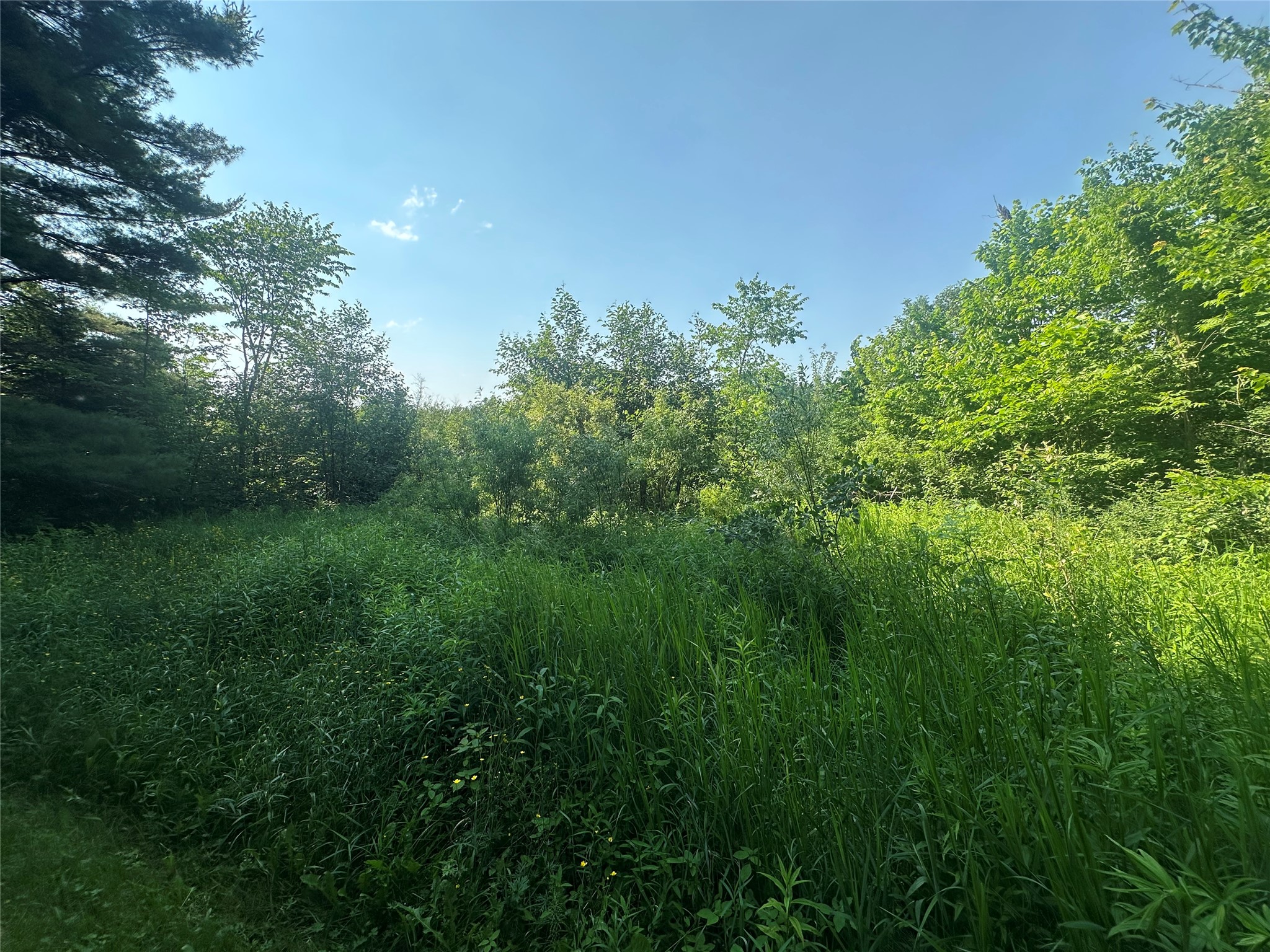 6901 N Zett Road Loretta WI 54896 1602873 image12