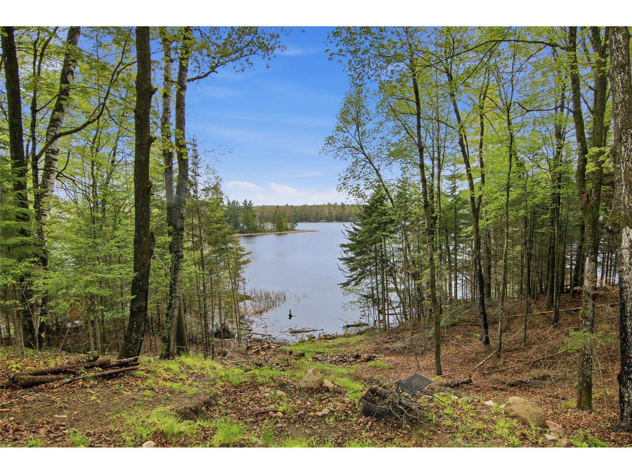 6934W Wolf Island Road Hayward WI 54843 - Moose 1601437 image43