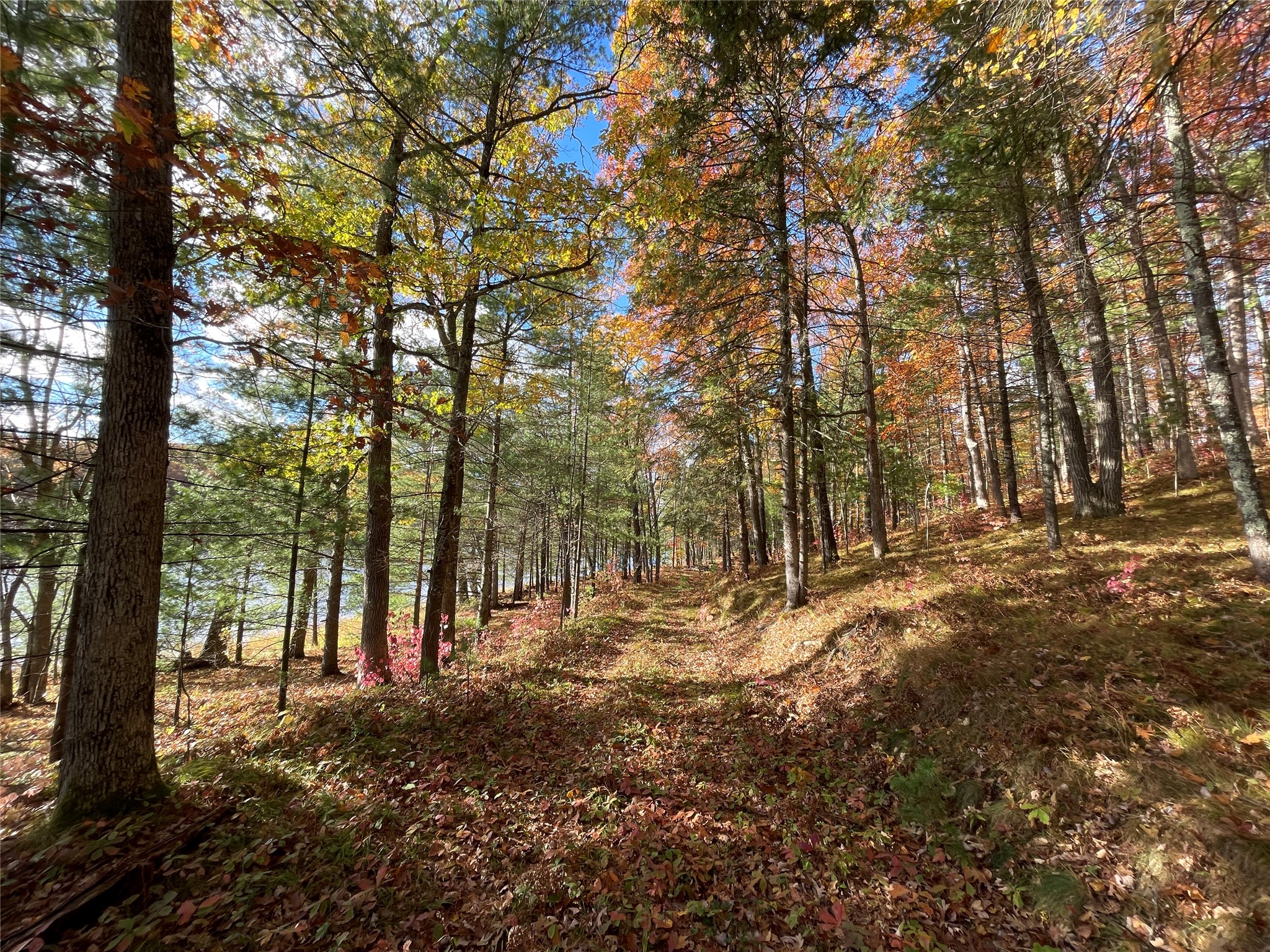 7 W Tanager Trail Hayward WI 54843 - Windigo 1600612 image10