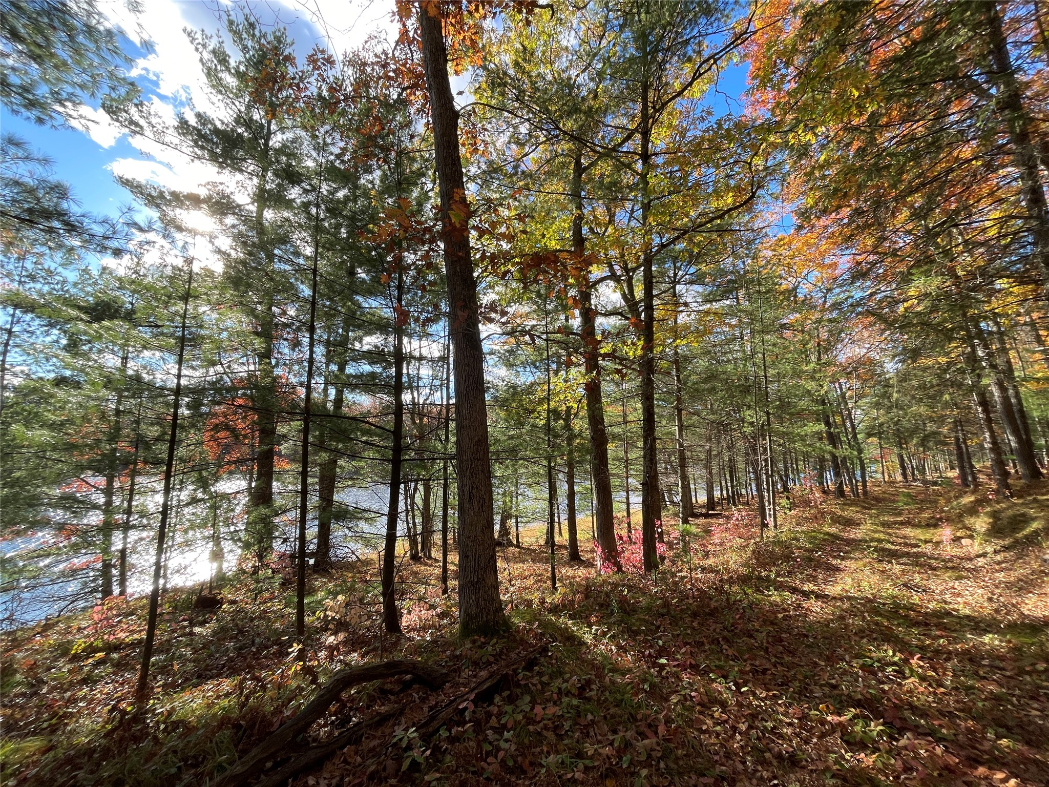 7 W Tanager Trail Hayward WI 54843 - Windigo 1600612 image12