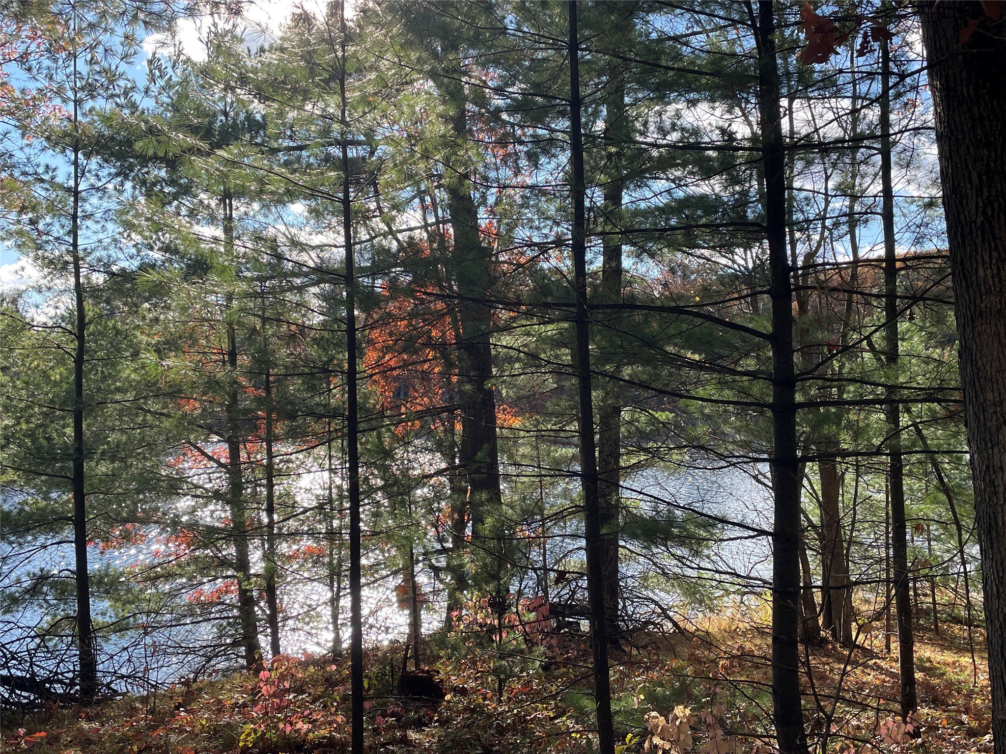7 W Tanager Trail Hayward WI 54843 - Windigo 1600612 image14