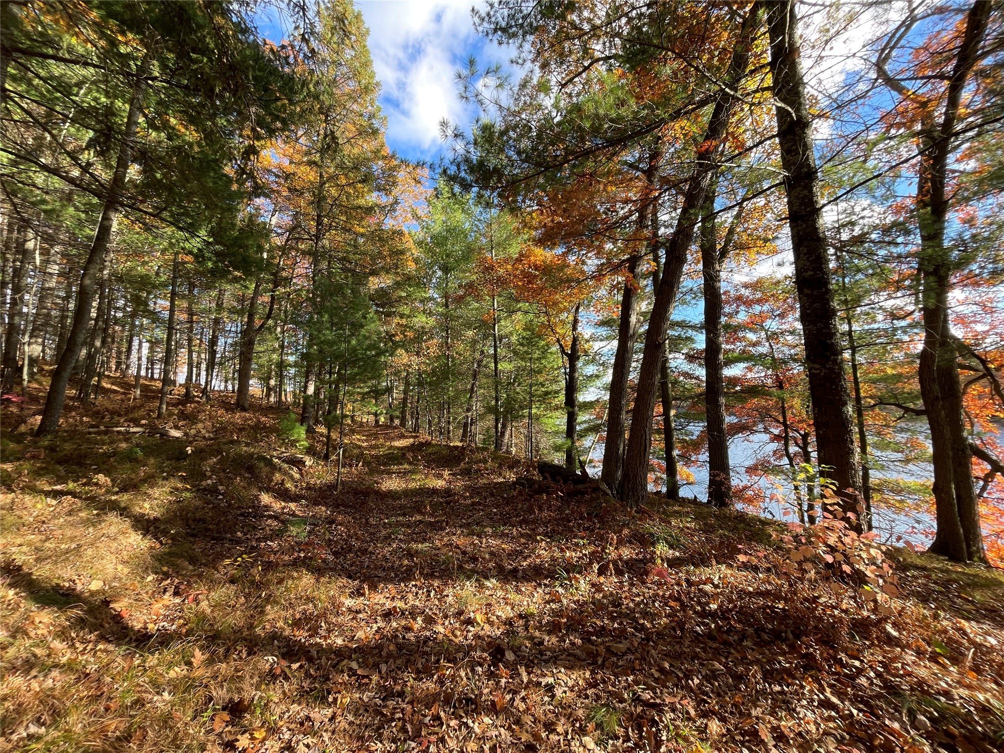 7 W Tanager Trail Hayward WI 54843 - Windigo 1600612 image18