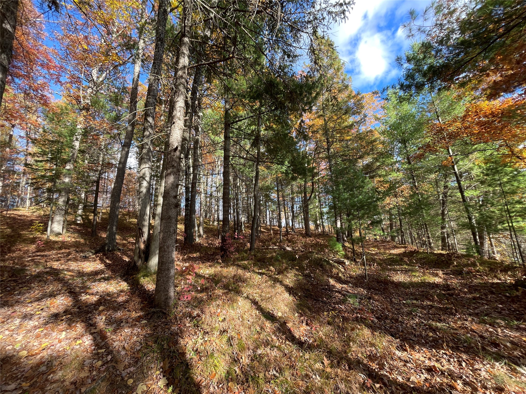 7 W Tanager Trail Hayward WI 54843 - Windigo 1600612 image20