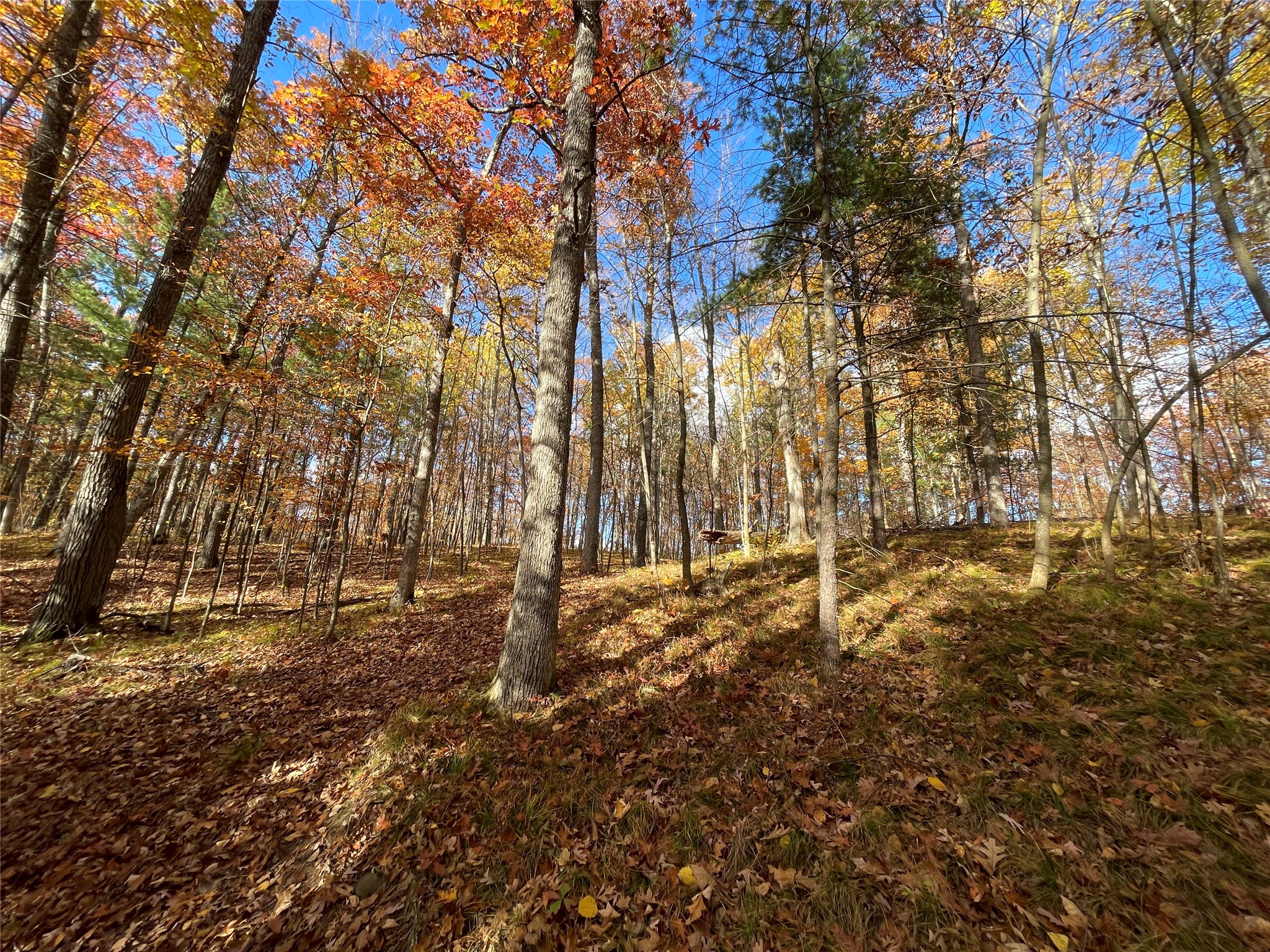 7 W Tanager Trail Hayward WI 54843 - Windigo 1600612 image27