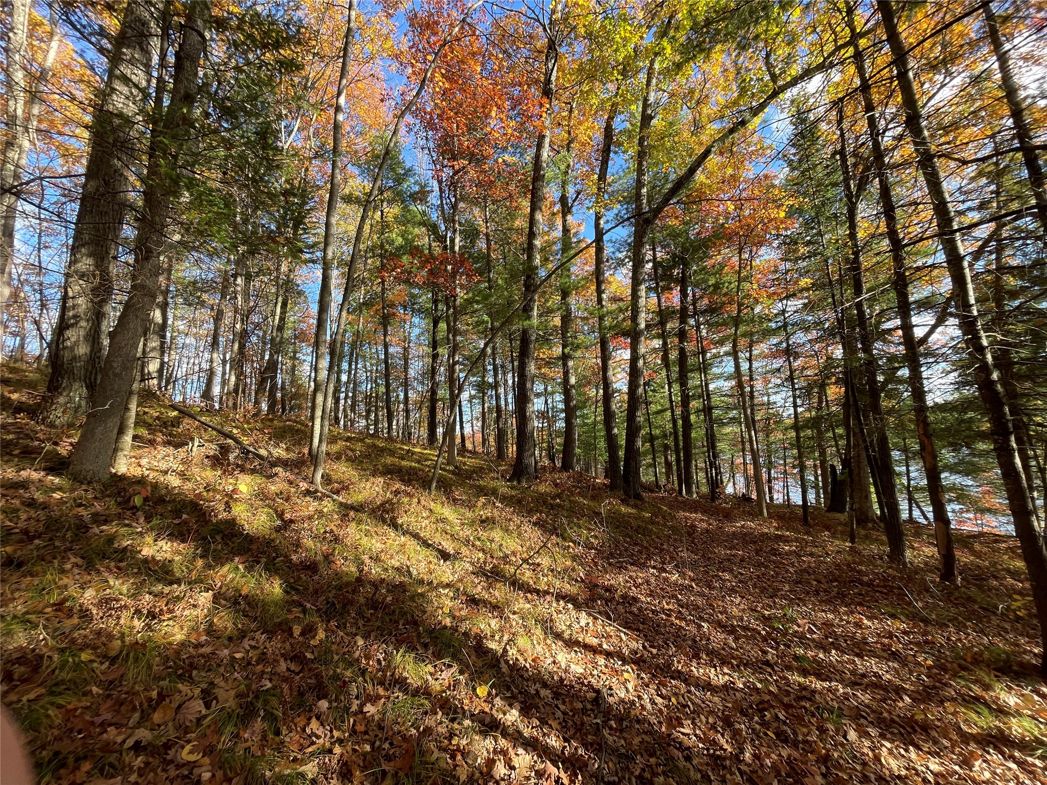 7 W Tanager Trail Hayward WI 54843 - Windigo 1600612 image30