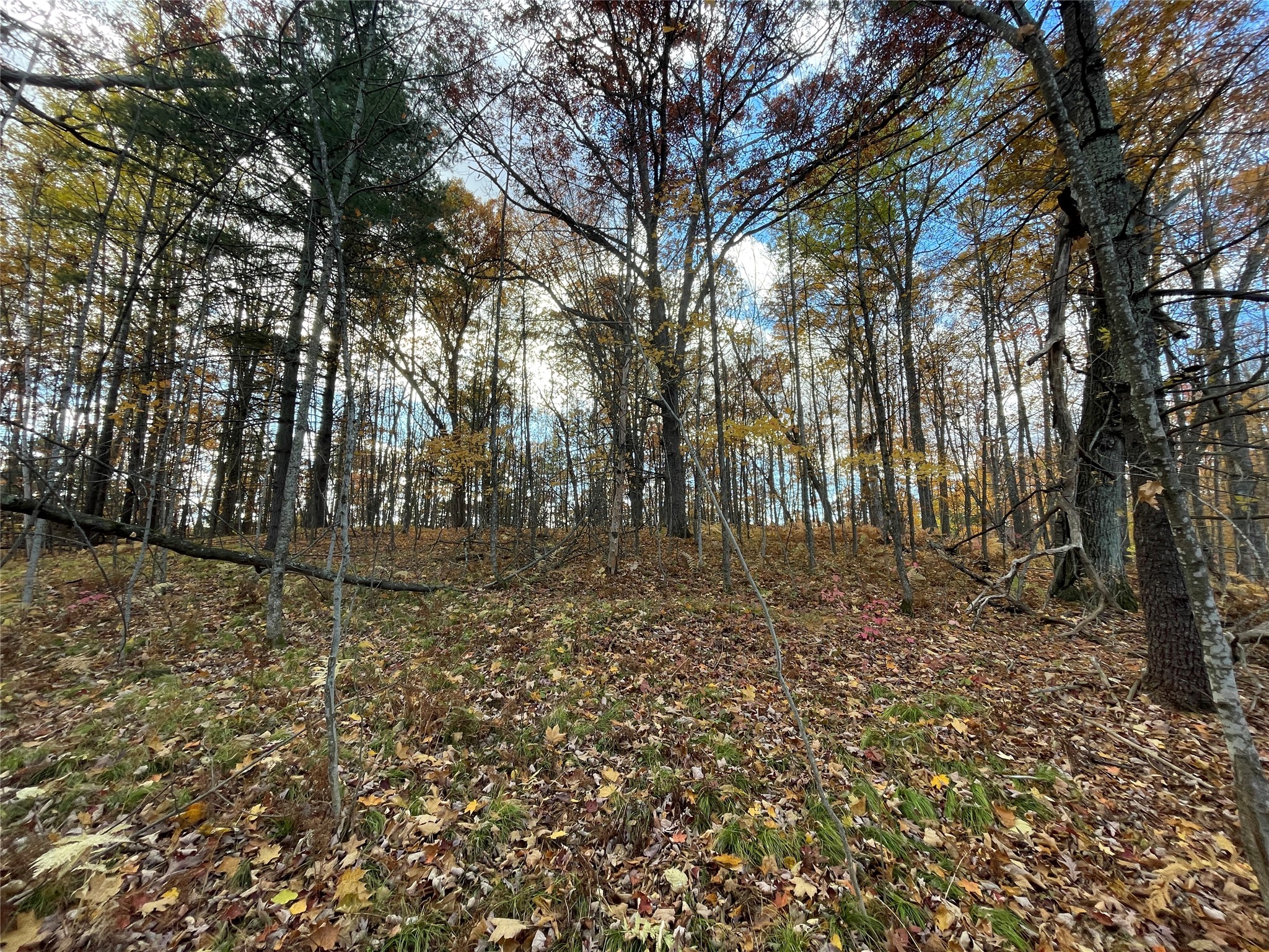 7 W Tanager Trail Hayward WI 54843 - Windigo 1600612 image33