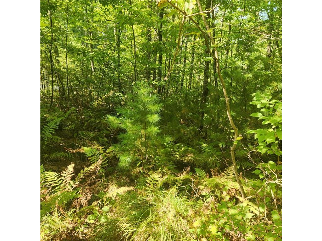 70 Billy Boy Road Stone Lake WI 54876 1585621 image1