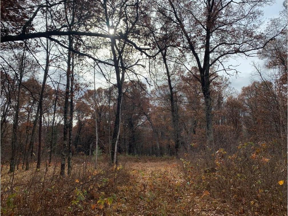 7017 Oakwood Parkway Webster WI 54893 1572031 image1