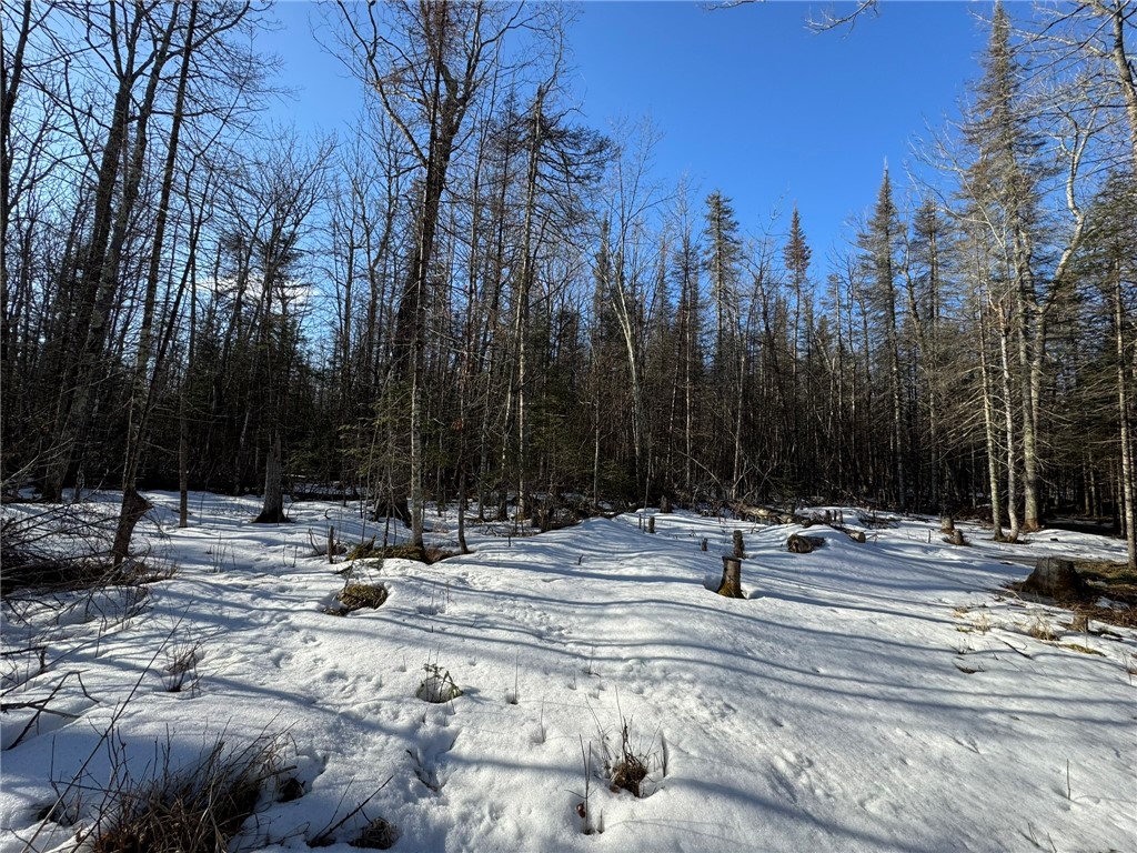 70455 Hoover Line Road Iron River WI 54847 1589577 image12