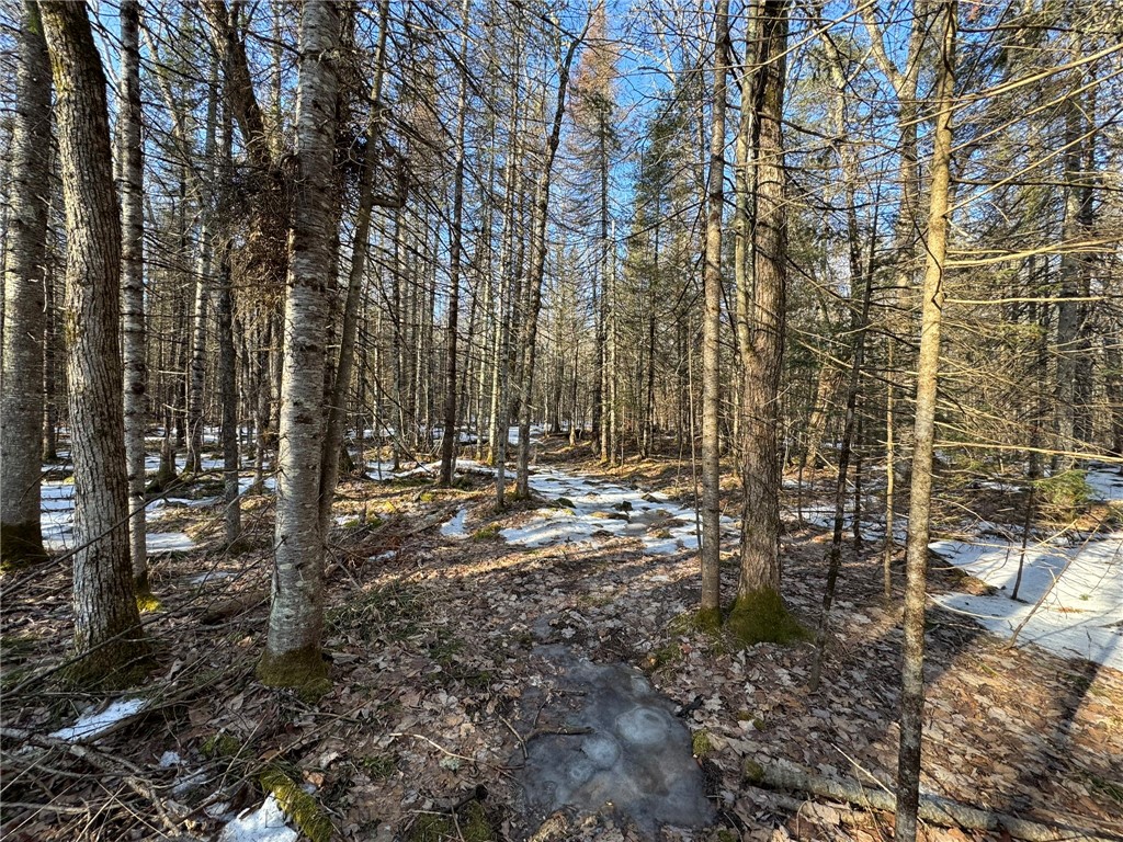 70455 Hoover Line Road Iron River WI 54847 1589577 image13