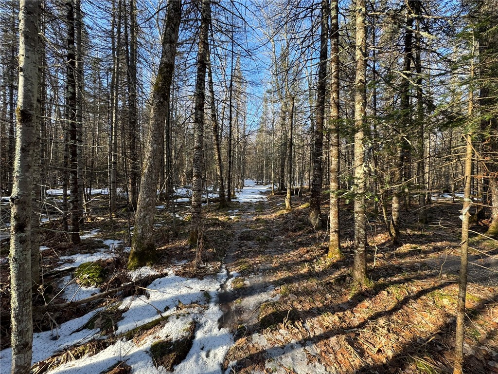 70455 Hoover Line Road Iron River WI 54847 1589577 image14