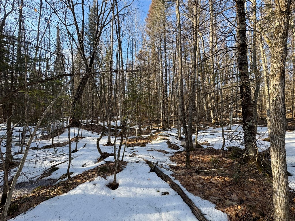 70455 Hoover Line Road Iron River WI 54847 1589577 image15