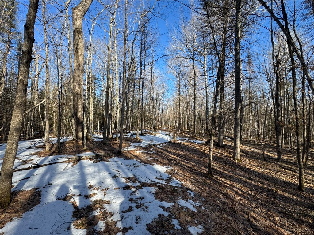 70455 Hoover Line Road Iron River WI 54847 1589577 image16