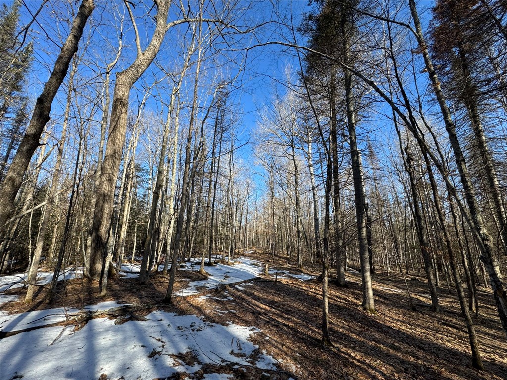 70455 Hoover Line Road Iron River WI 54847 1589577 image17