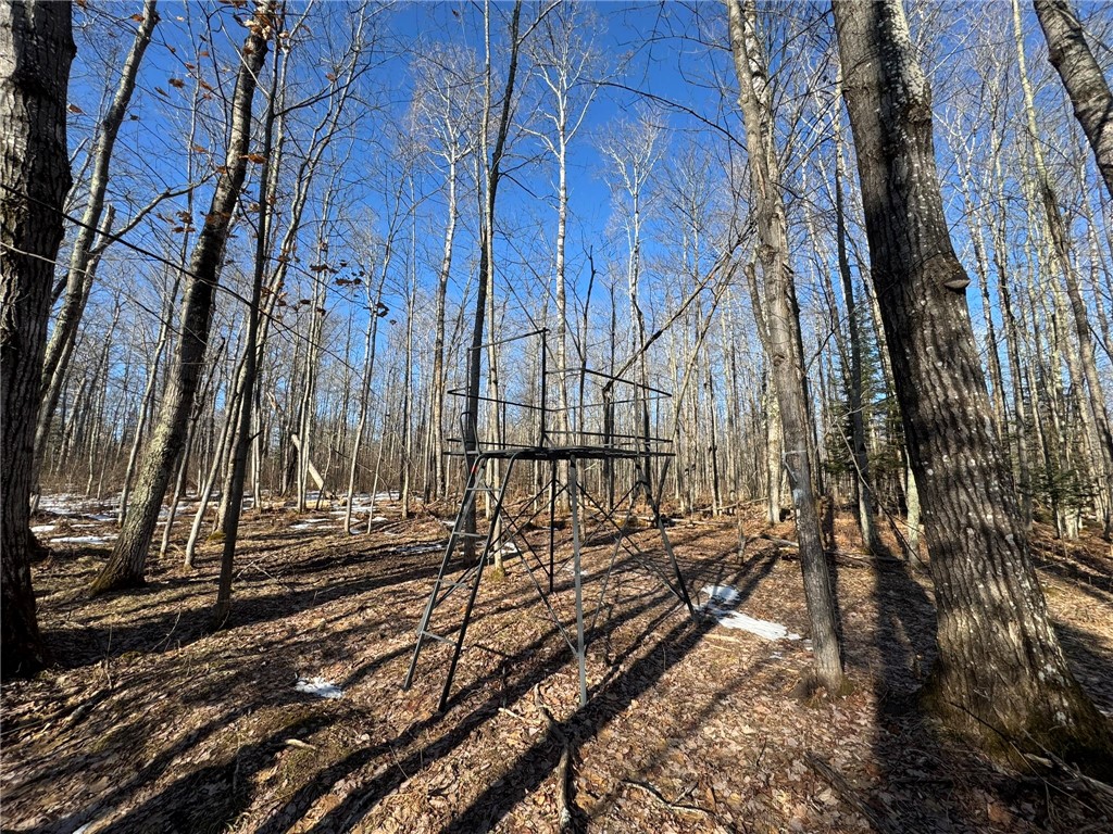 70455 Hoover Line Road Iron River WI 54847 1589577 image19