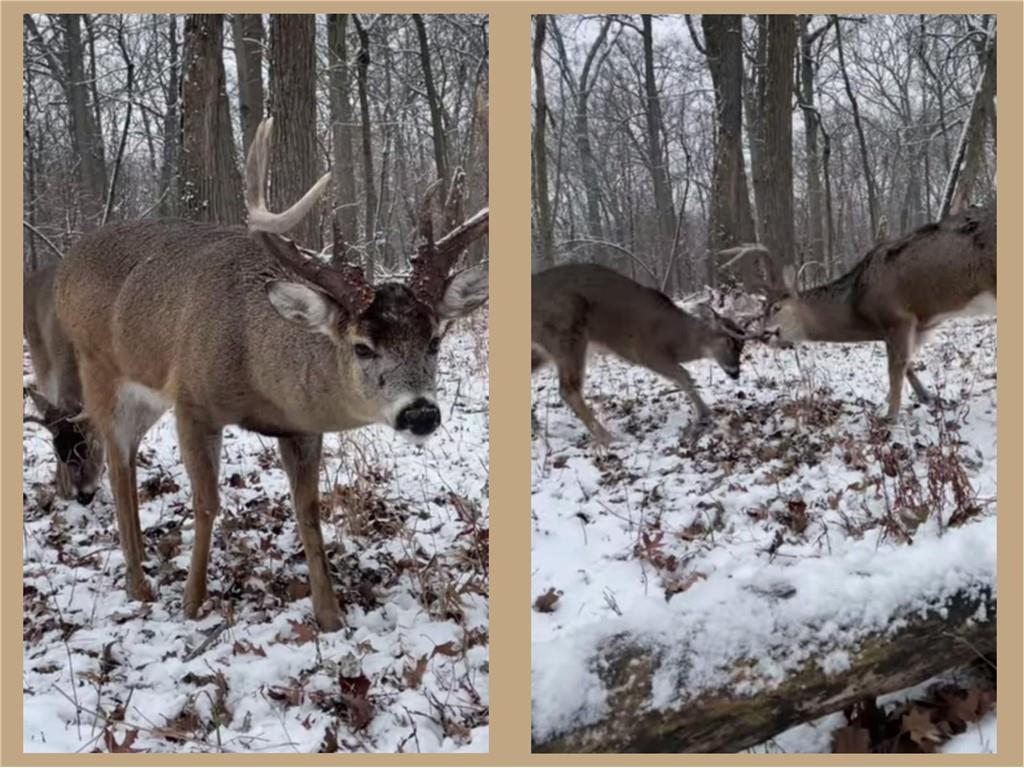 70455 Hoover Line Road Iron River WI 54847 1589577 image2