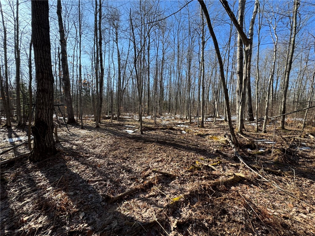 70455 Hoover Line Road Iron River WI 54847 1589577 image22