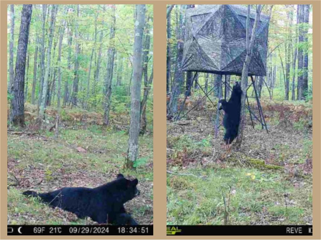 70455 Hoover Line Road Iron River WI 54847 1589577 image4