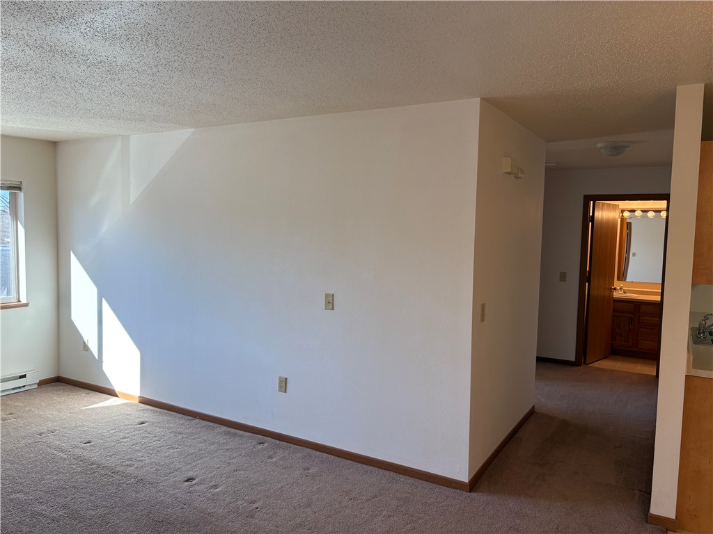 705 Bruce Court #9 Menomonie WI 54751 1597413 image6