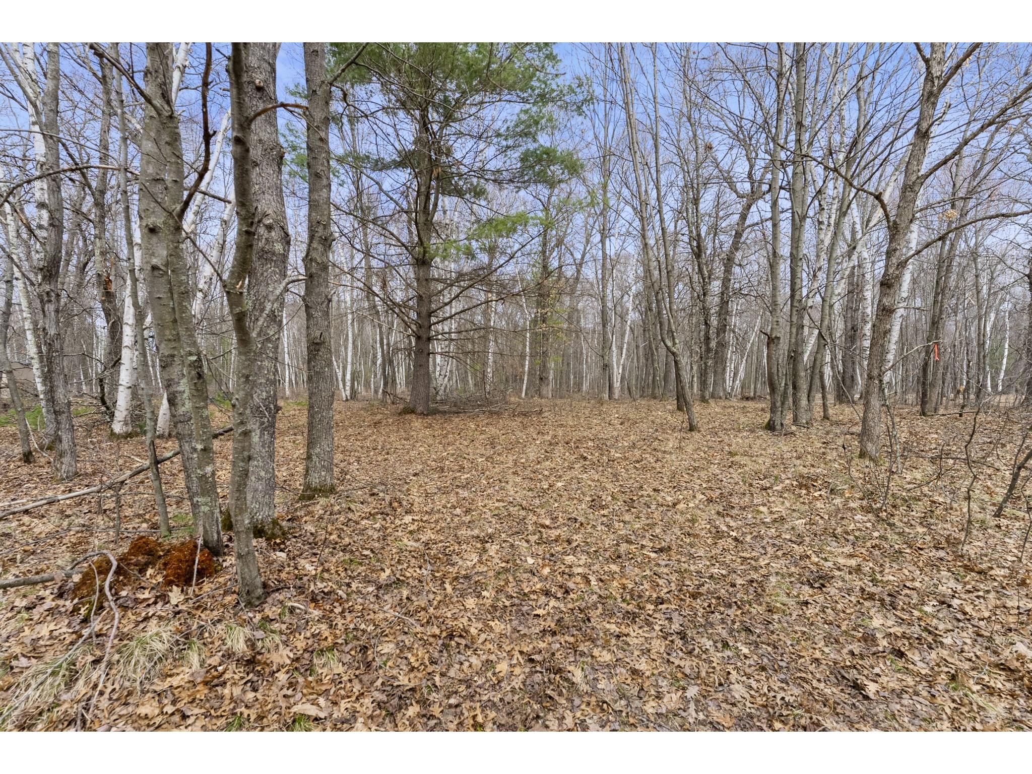 7108 Oakwood Parkway Webster WI 54893 1600154 image1