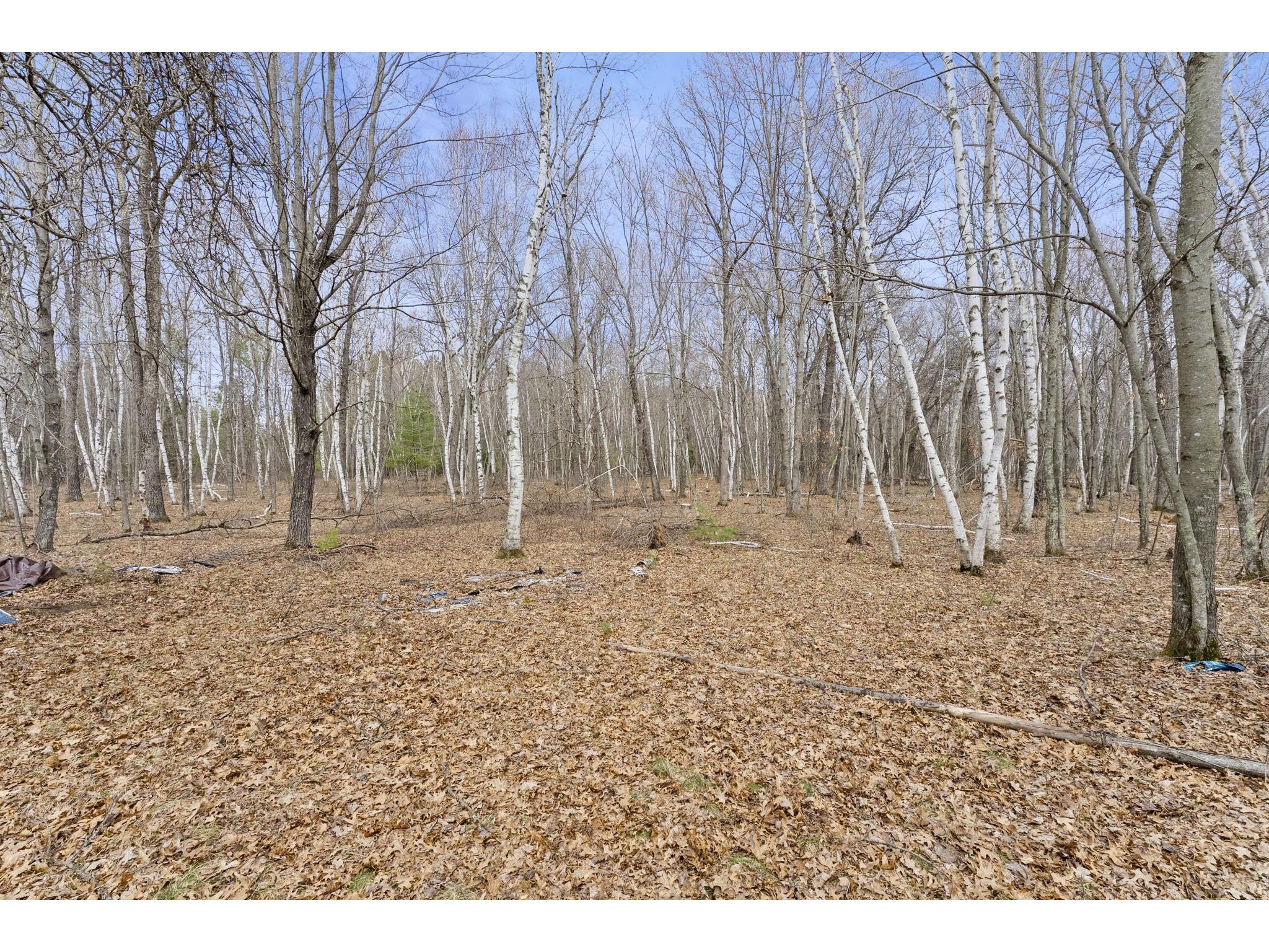 7108 Oakwood Parkway Webster WI 54893 1600154 image2