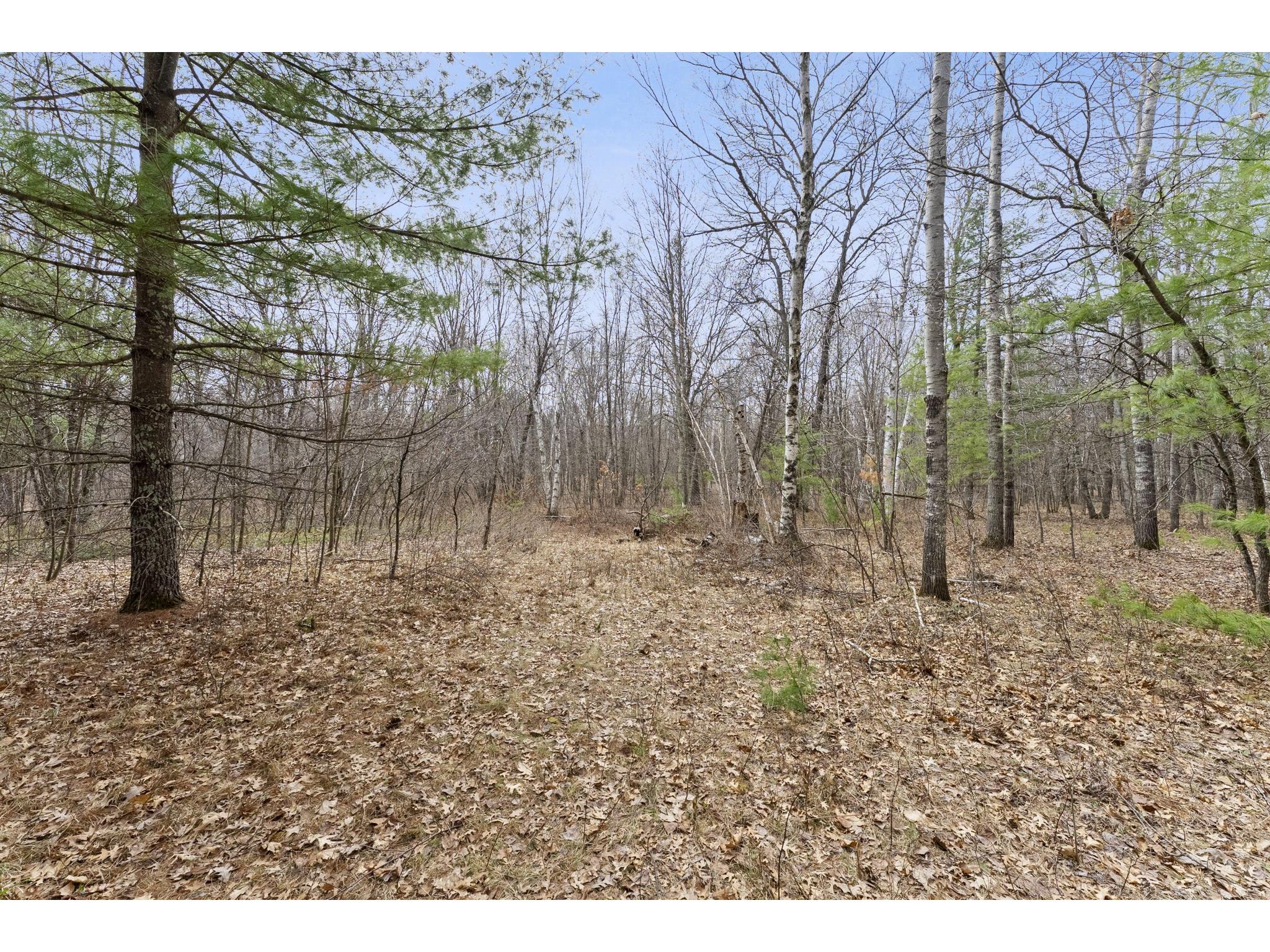 7108 Oakwood Parkway Webster WI 54893 1600154 image3