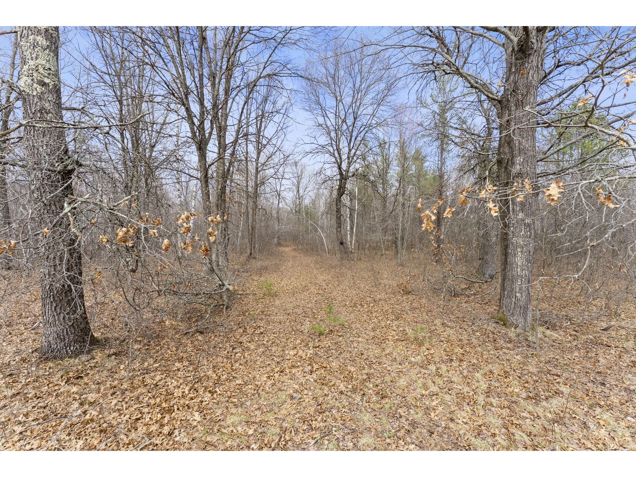 7108 Oakwood Parkway Webster WI 54893 1600154 image4