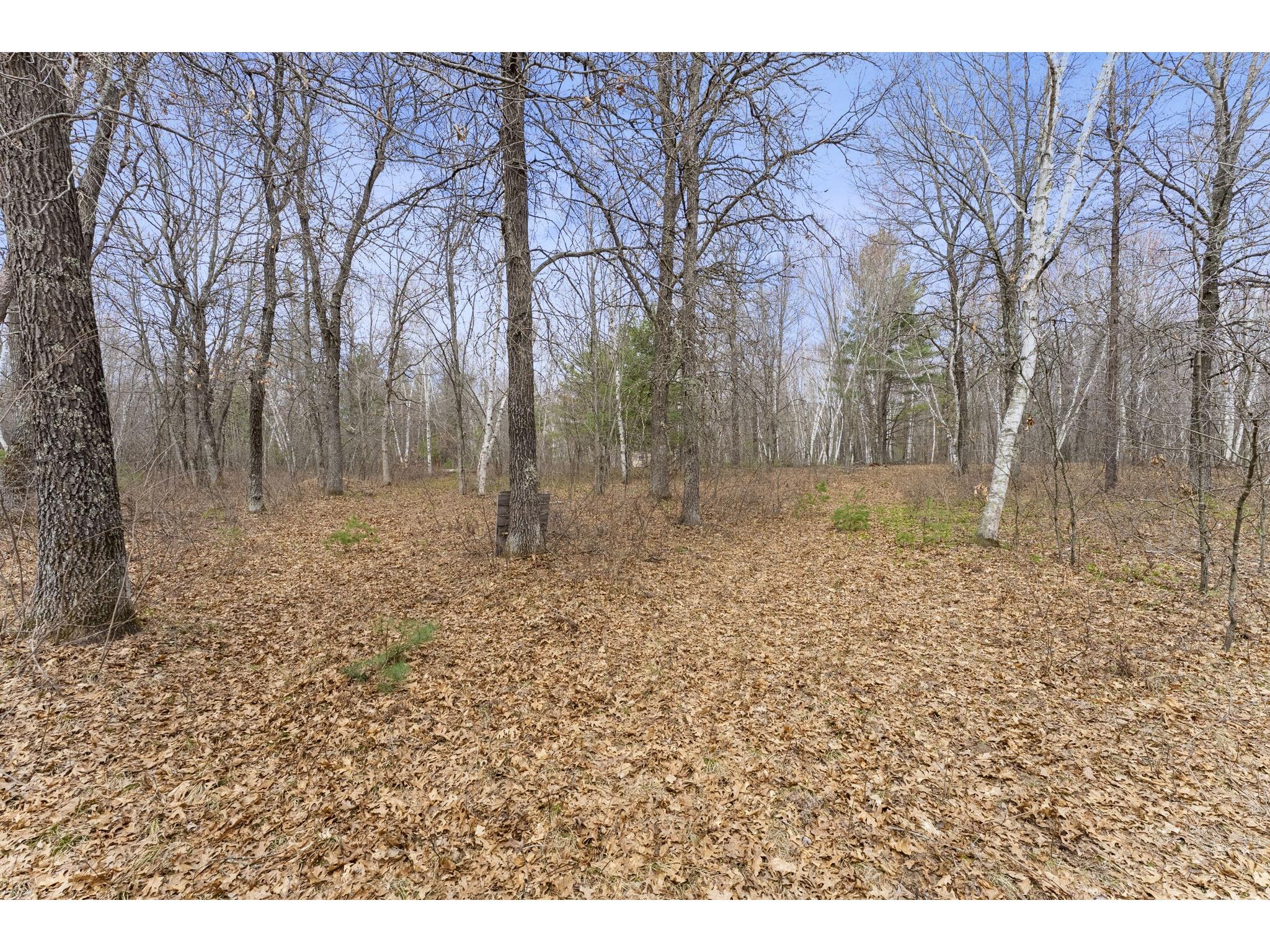 7108 Oakwood Parkway Webster WI 54893 1600154 image5