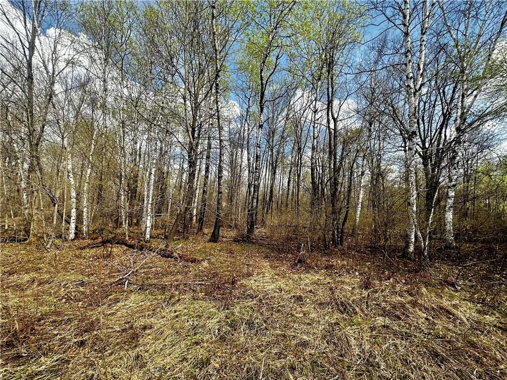 7140 N Hackett Road Hawkins WI 54530 1572759 image1