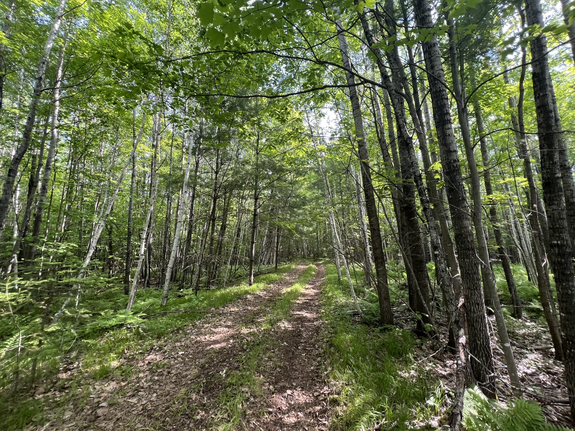 7151 E County Road A Solon Springs WI 54873 1602028 image14
