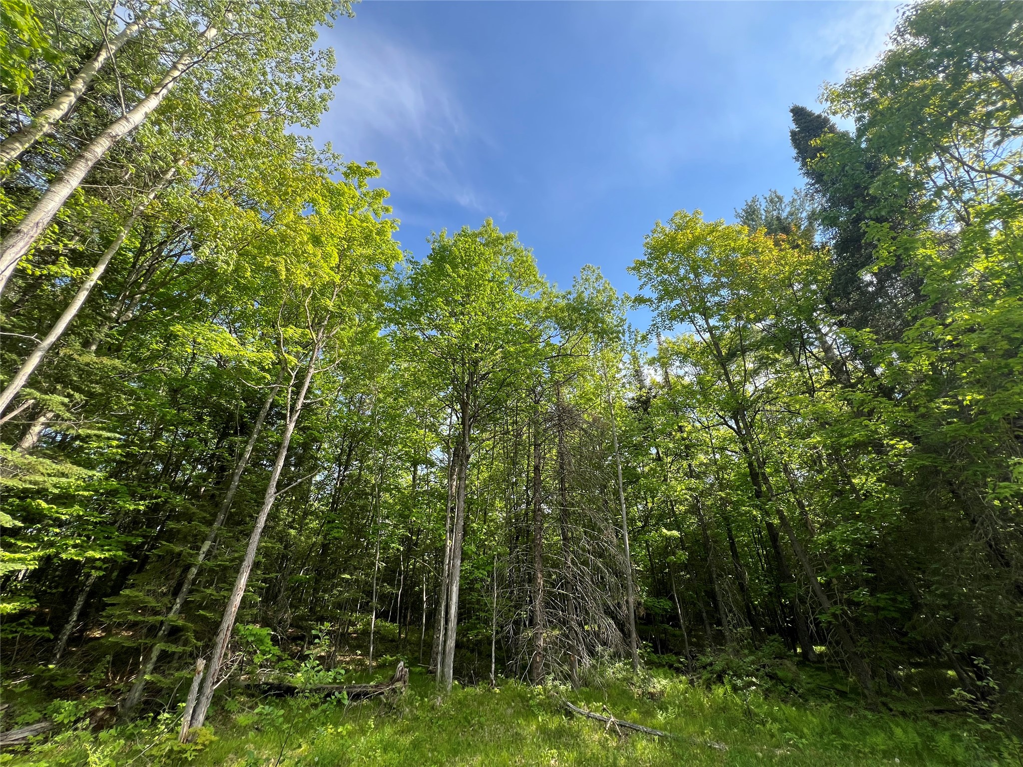 7151 E County Road A Solon Springs WI 54873 1602028 image9