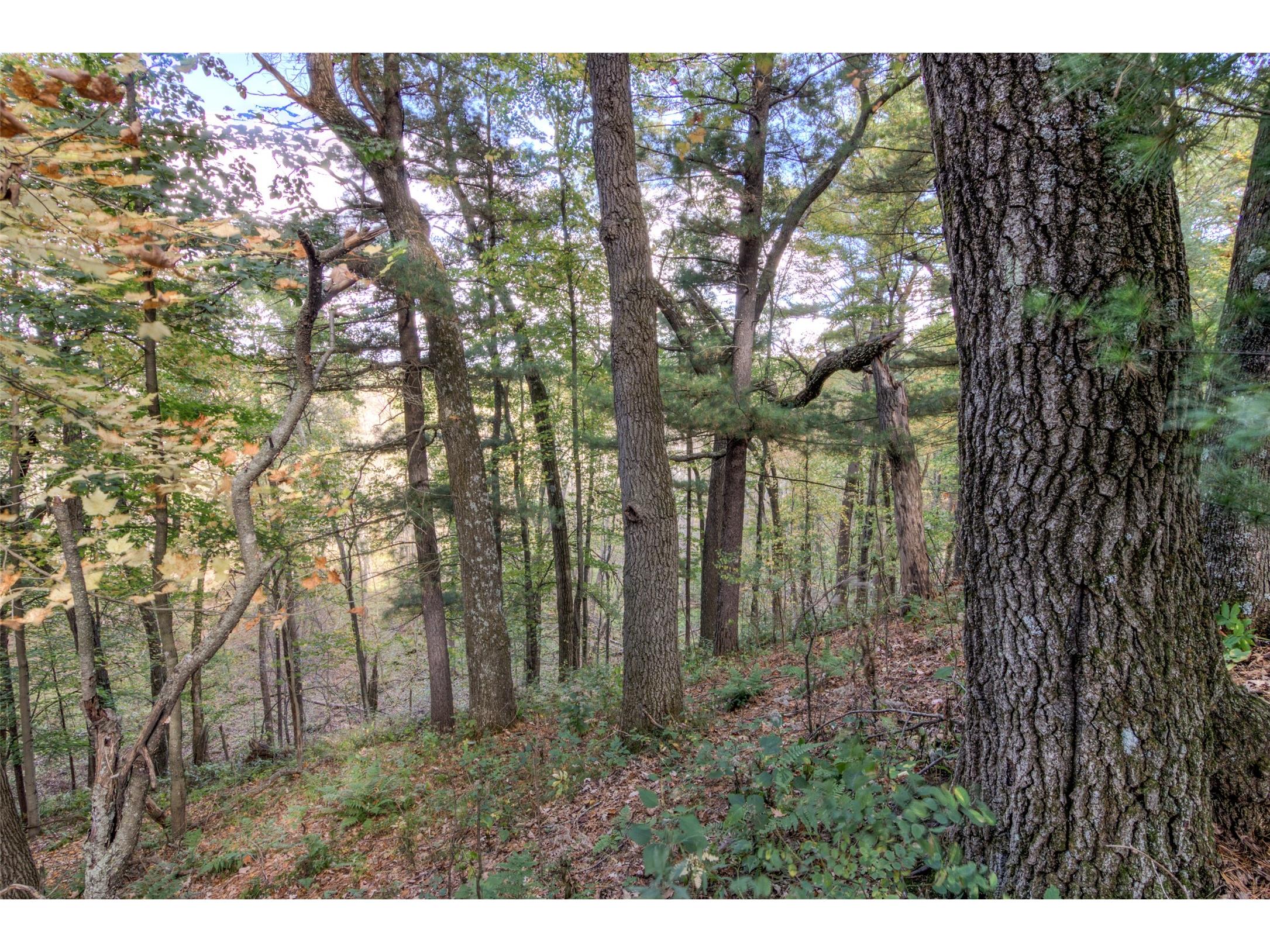 7180 Nine Mile Creek Road Eau Claire WI 54701 1600468 image49